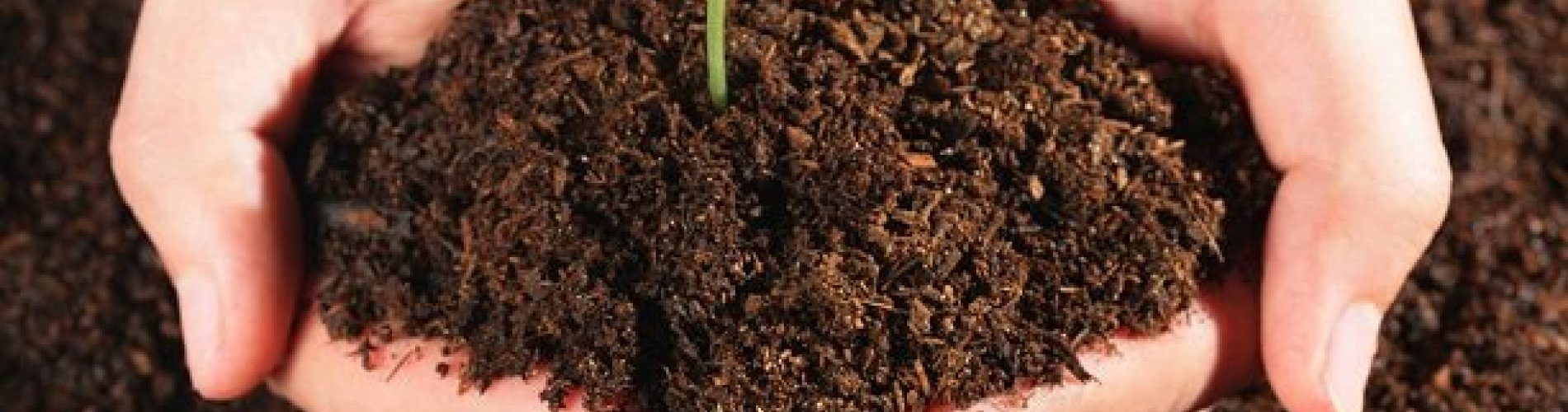 Organomineral Gübreler